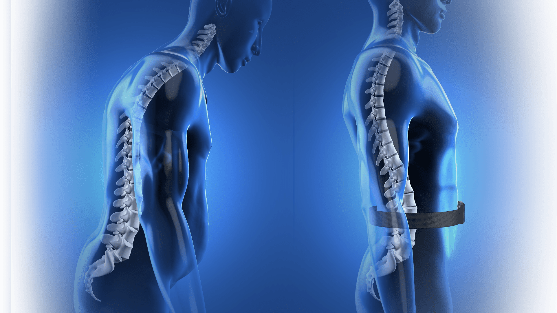 Body Buzz Abdominal Trainer